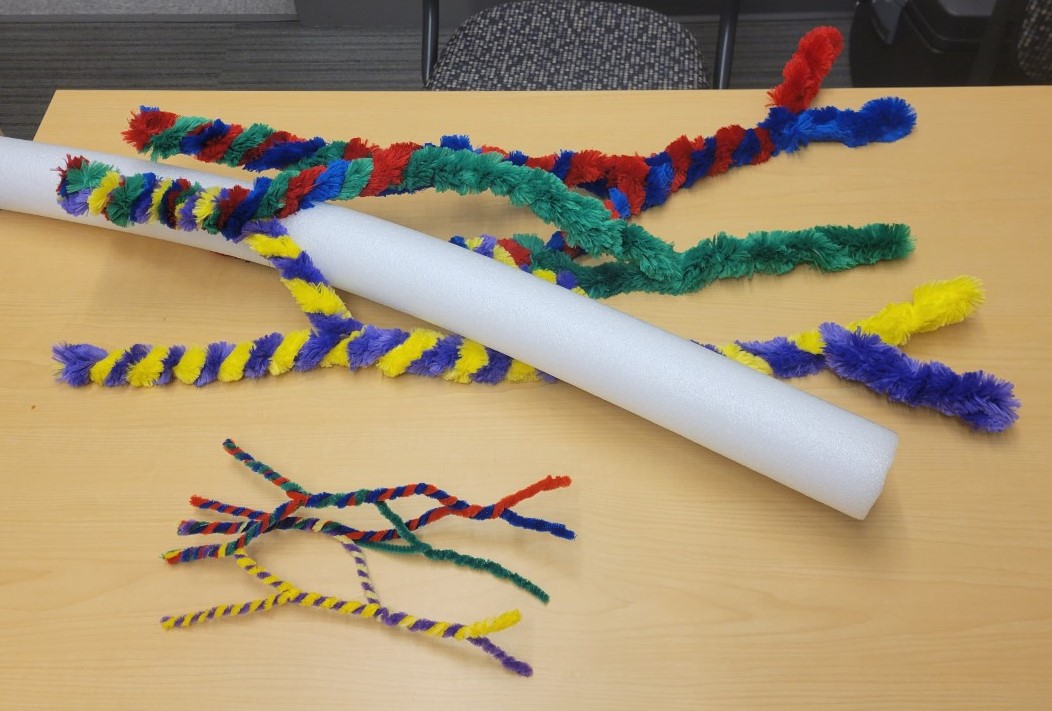 When you have your students learn the brachial plexus with pipe cleaners...you have to make a larger teacher demo model, complete with a swim noddle axillary artery! #MedEd #Brachialplexus #AnatomyCrafts