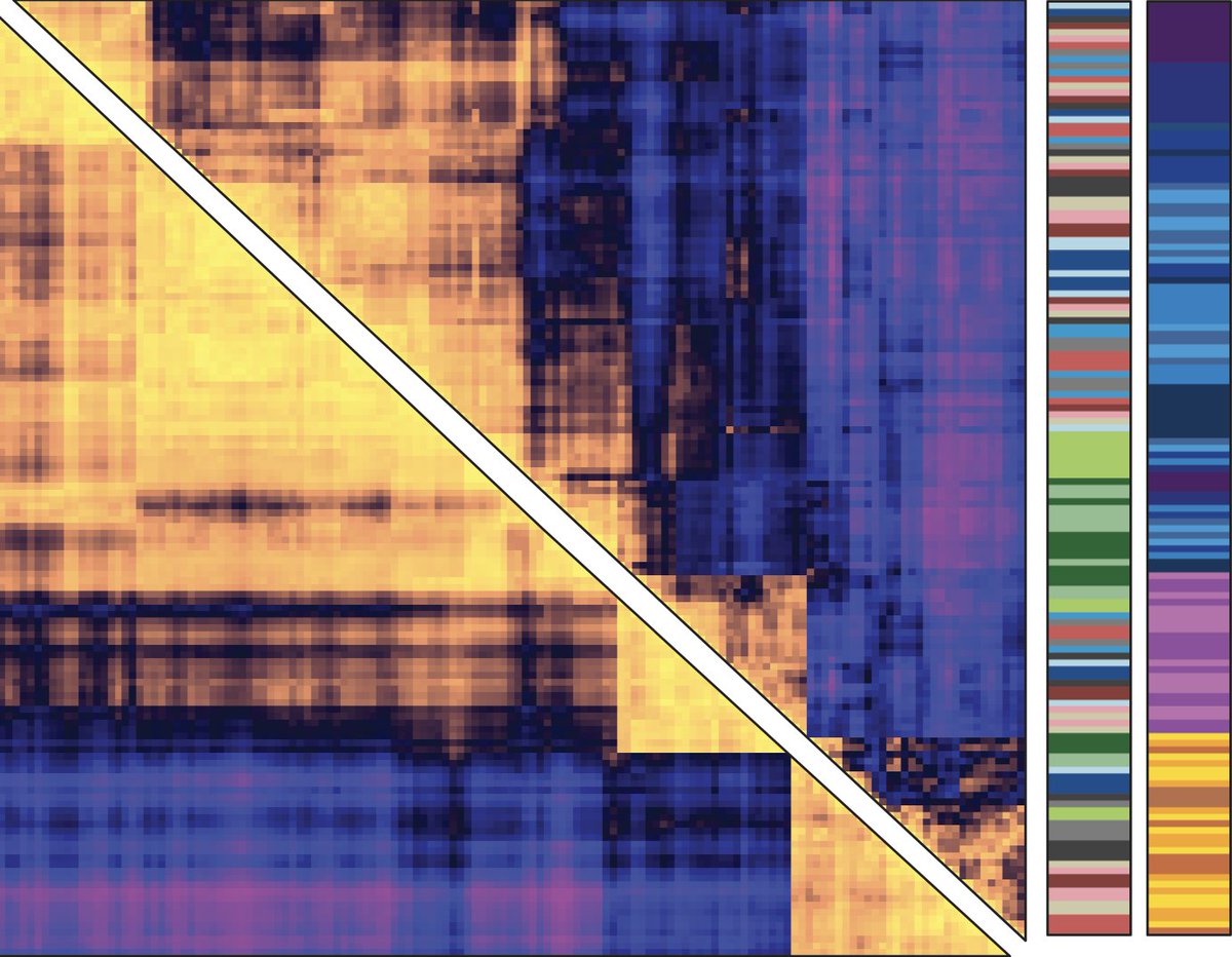 HSCRB (@hscrb) on Twitter photo Check out how <a href="/JD_Buenrostro/">Jason Buenrostro</a> pairs chromatin accessibility information with gene expression across cells <a href="/HSCRB/">HSCRB</a> <a href="/Harvard/">Harvard University</a> <a href="/CellGenomics/">Cell Genomics</a> #ATACseq hscrb.harvard.edu/news/new-techn… Check out how <a href="/JD_Buenrostro/">Jason Buenrostro</a> pairs chromatin accessibility information with gene expression across cells <a href="/HSCRB/">HSCRB</a> <a href="/Harvard/">Harvard University</a> <a href="/CellGenomics/">Cell Genomics</a> #ATACseq hscrb.harvard.edu/news/new-techn…
