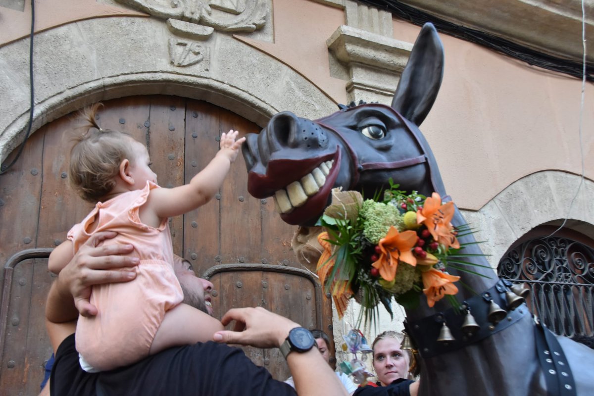 AjTorredembarra's tweet photo. 🎉👶🏿👶🏼 Les nenes i els nens més petits de la casa han pogut donar el xumet a la Mulassa i la Mulasseta, aquesta tarda de Festa Major de Santa Rosalia #Torredembarra #FMTd

📷 Anna F. https://t.co/x6DZi213CC