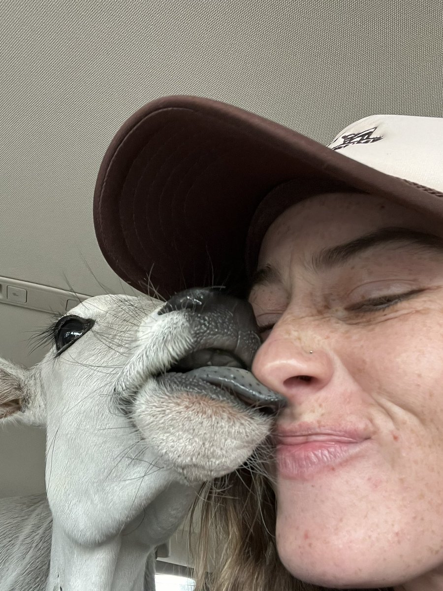 HUMPTY IS ON HIS WAY HOME🥹❤️