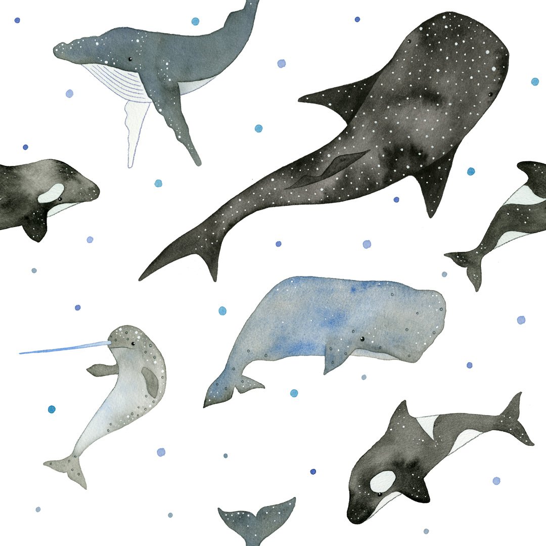 Showing a little close up of this watercolour whales repeat pattern for #WhaleSharkDay 
I painted this design exclusively for ILO organic clothing and they've turned it into super-cute, super-soft and eco-conscious organic kids clothes - go check them out! iloclothing.co.uk/collections/wh…