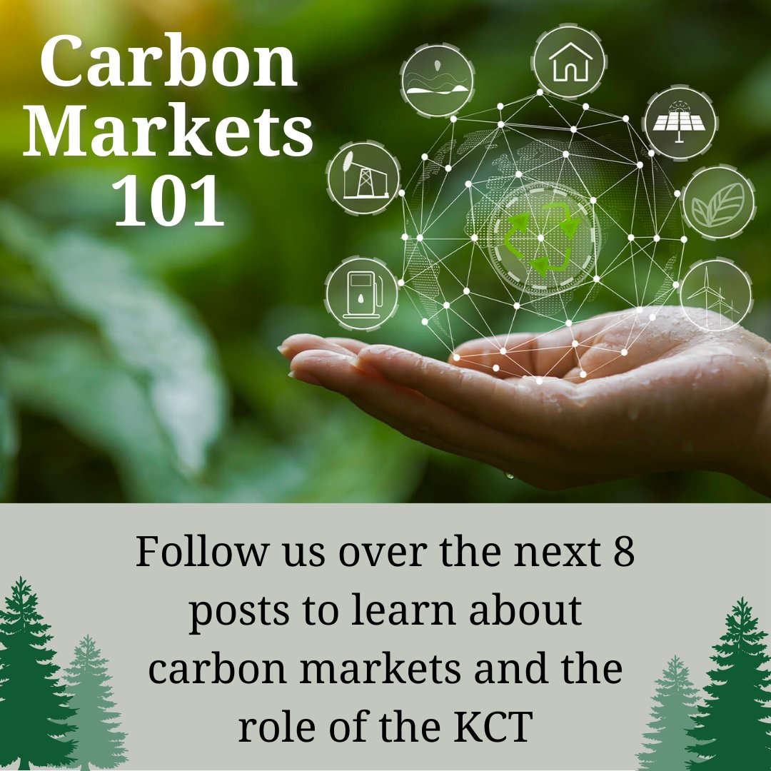 #kulshancarbontrust #CarbonMarket #sustainability #sustainable #NaturalClimateSolutions #KCT #carbon #sustainableimpact