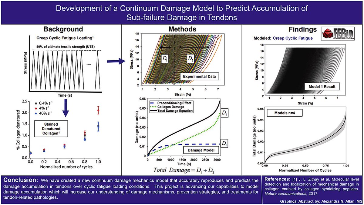 Jeff Weiss (@jeffweissut) on Twitter photo Very pleased to share this work using continuum damage mechanics to predict tendon fatigue damage by my MS student Alexanda Allan! Just published in <a href="/mechbiomat/">@MechBioMat</a> and available for download, shorturl.at/fknJL <a href="/UtahBME/">UtahBME</a> <a href="/uusci/">Scientific Computing and Imaging Institute</a> <a href="/SteveAMaas/">Steve Maas</a> <a href="/FEBioSoftware/">FEBio Software</a> Very pleased to share this work using continuum damage mechanics to predict tendon fatigue damage by my MS student Alexanda Allan! Just published in <a href="/mechbiomat/">@MechBioMat</a> and available for download, shorturl.at/fknJL <a href="/UtahBME/">UtahBME</a> <a href="/uusci/">Scientific Computing and Imaging Institute</a> <a href="/SteveAMaas/">Steve Maas</a> <a href="/FEBioSoftware/">FEBio Software</a>