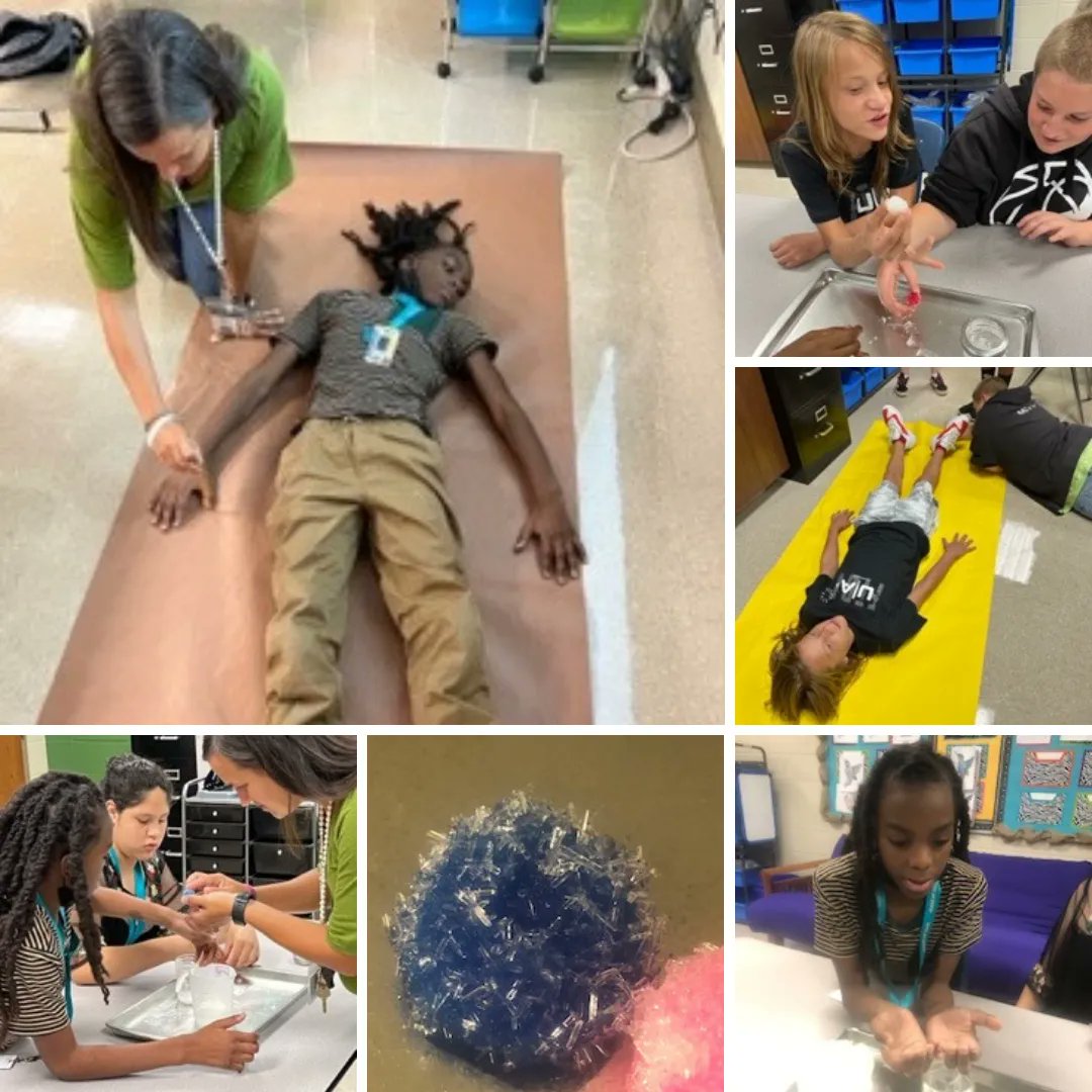 DRHillMiddle's tweet image. Mrs. Kay and Mr. Lancaster’s Science students grew crystals and recorded observations using the scientific method. They are also learning about the human body and creating models of the human body system. #TheHill #D5Difference