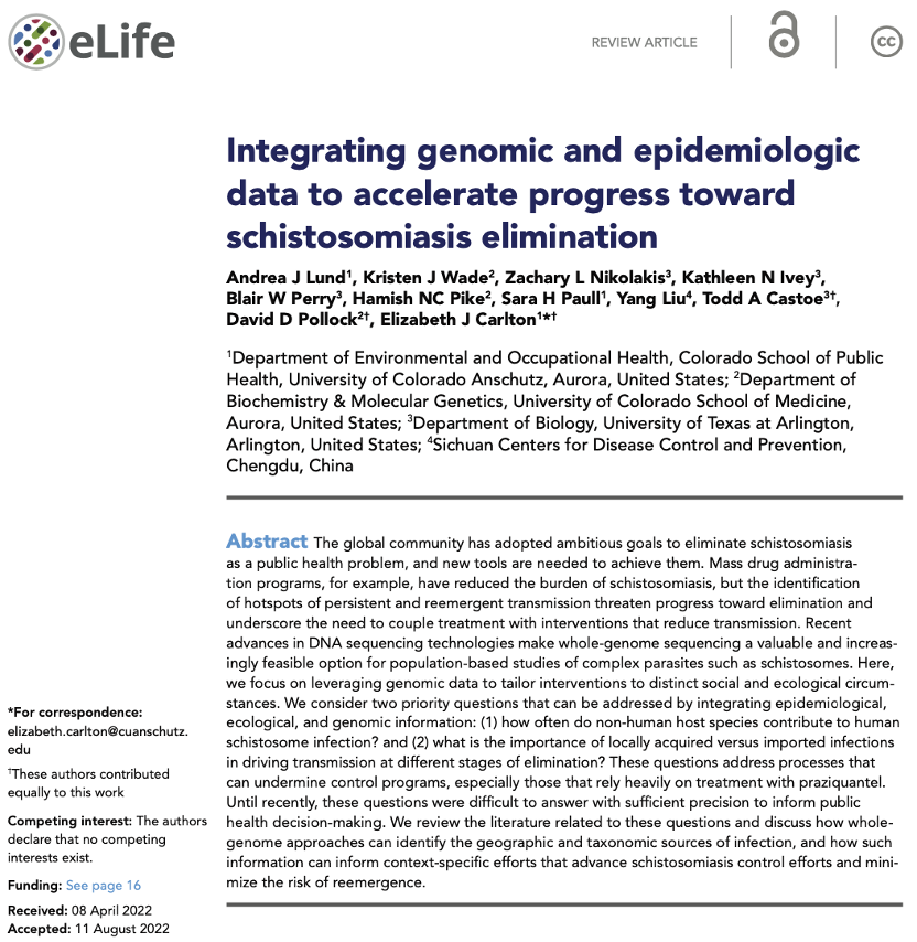 andjanlund's tweet photo. How can advances in genomics 🧬 address key threats to #schistosomiasis 🪱 control? 

👀 Review out in @eLife w/ @EJCarltonEOH (@ColoradoSPH), @GenomesEvolve (@CUMedicalSchool), @blairperry614 (@utarlington) and others not on Twitter

https://t.co/NaSJy2tj7F 

1/ https://t.co/nJBiqXQmPV