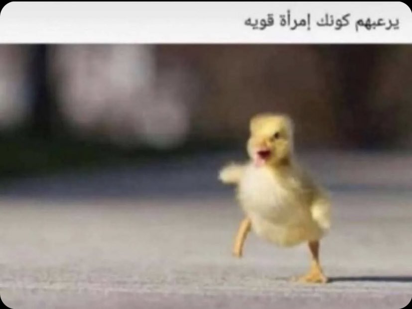 ريو 🐈⬛ tweet media