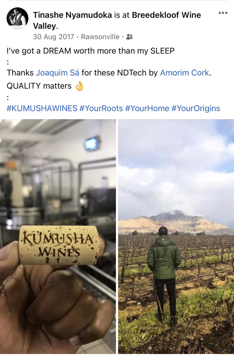 Tinashe Nyamudoka tweet media
