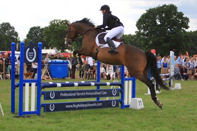 Pennymessenger's tweet photo. Clear around Edenbridge &amp; Oxted county show 💫🚀🐴 https://t.co/ZYFWWdpZDe