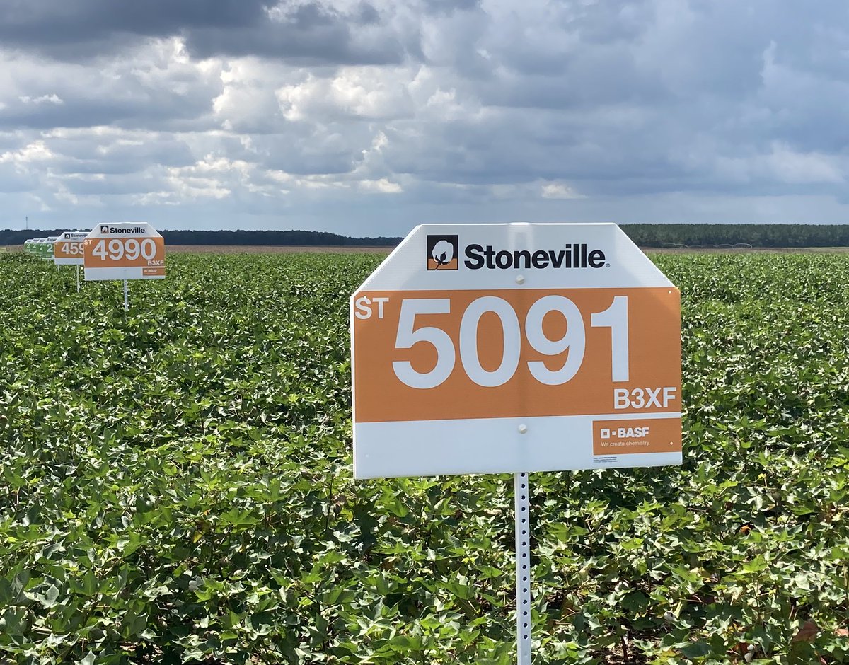 Christopher Whatley tweet media