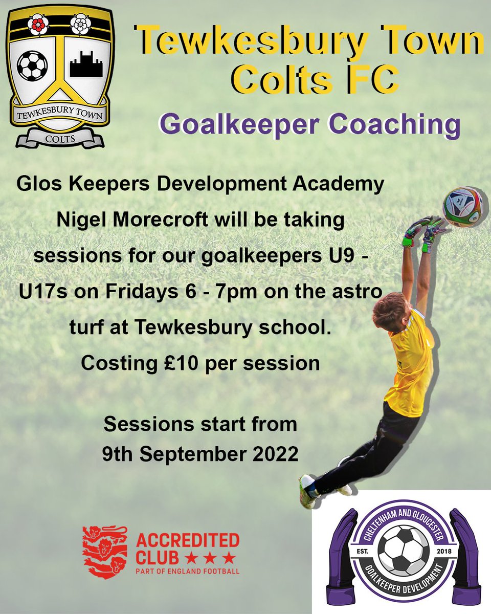 To help to develop our goalkeepers, we are excited to announce a new partnership with Glos Keepers Development Academy.

Find out more here: 
ttcfc.co.uk/post/goalkeepi…

#ttcfc #grassroots #tewkesbury #youthfootball #goalkeeper #glo