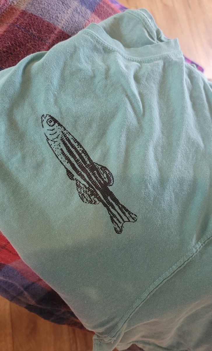 emthetech's tweet photo. Attempted silk screen printing this weekend! 🐟 #zebrafish https://t.co/IV9v8ilsmN