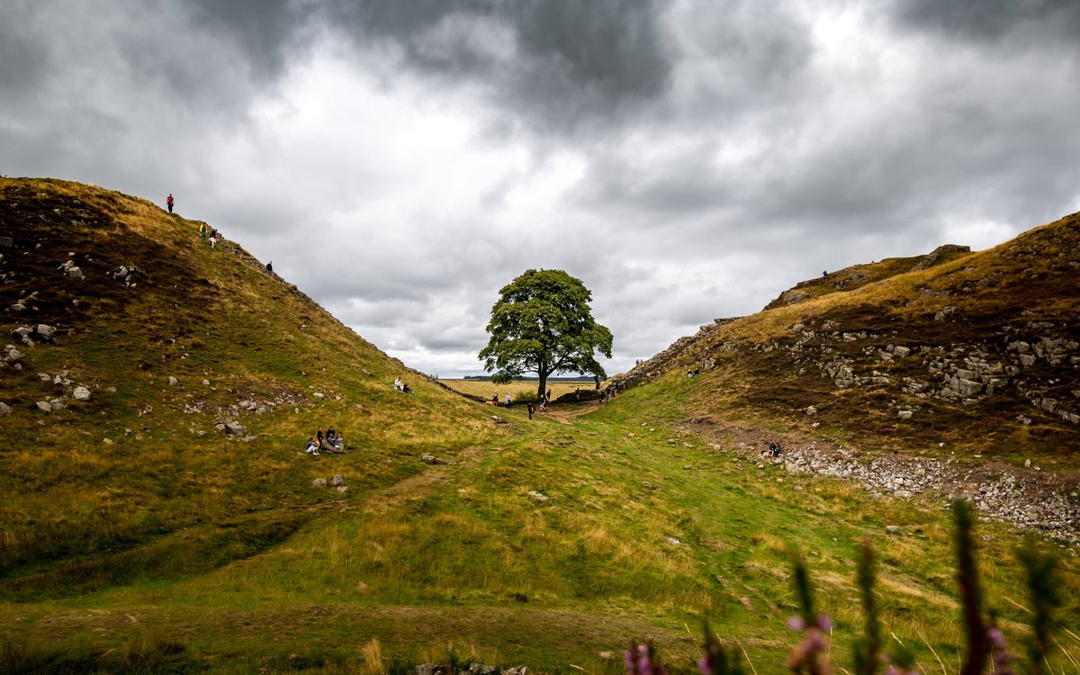 🌳 M i n d  T h e  G a p 🌳 

It maybe wasn’t the smartest move visiting a famous site on a Bank Holiday, but I think the people add to the scene and give it a friendly tone!
happyhumanphotography.com/Features/Explo…

#SycamoreGap #Northumberland #NorthEast #HadriansWall