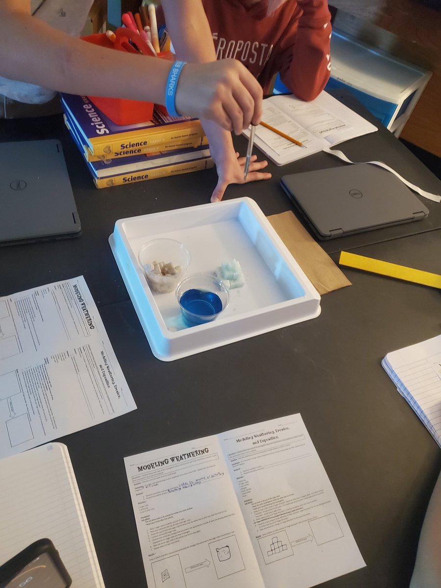 MrsRieflerSJMS's tweet photo. Today was sugar mountain day! My favorite way to show weathering, erosion and deposition. And who doesn't love a little food coloring to jazz it up! #thestjamesway #sjmssharpsharks https://t.co/IB0dNKMoik