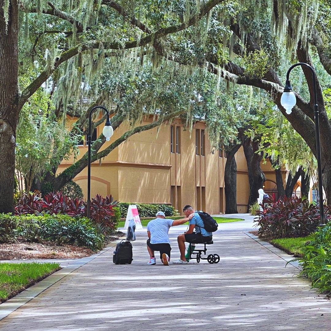 Southeastern Alumni tweet media