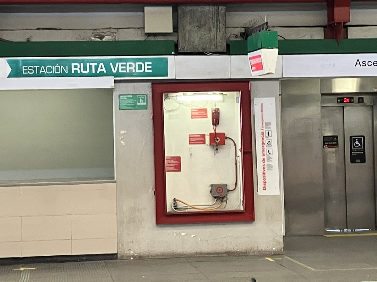 tehani staiger tweet media