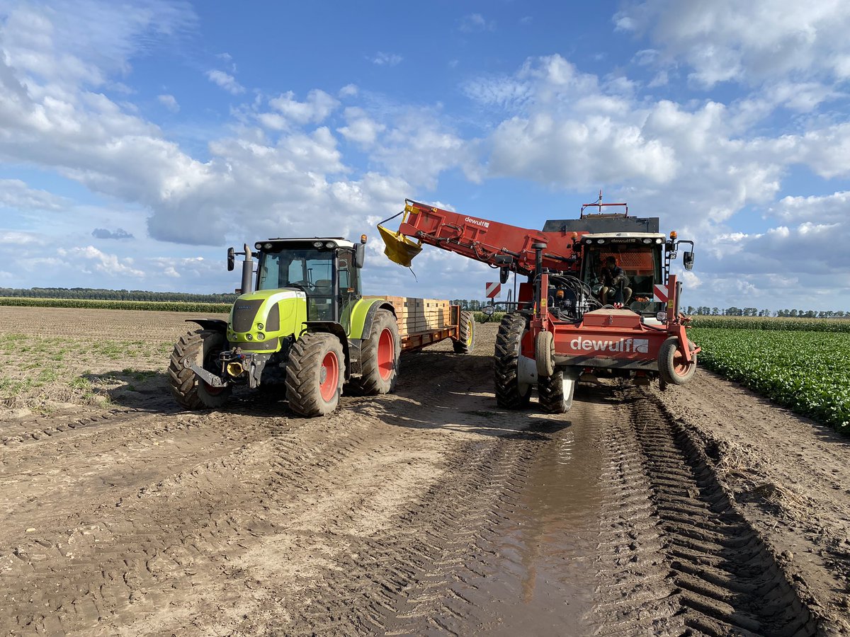 Jeffrey Mul tweet media