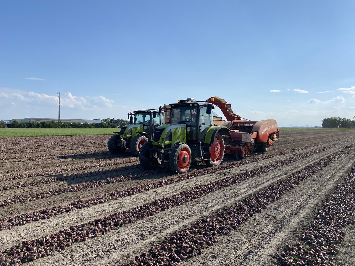 Jeffrey Mul tweet media