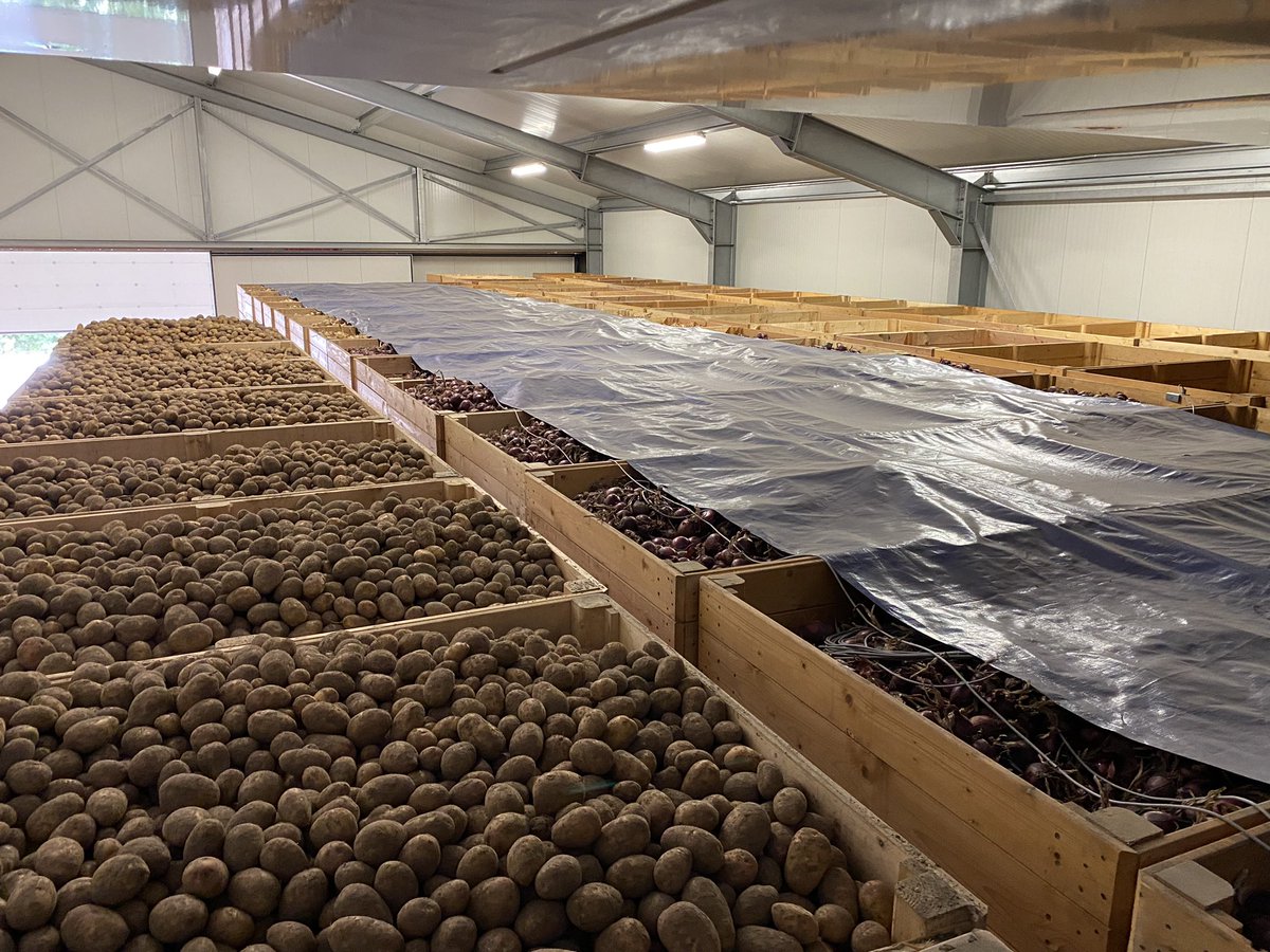 Jeffrey Mul tweet media