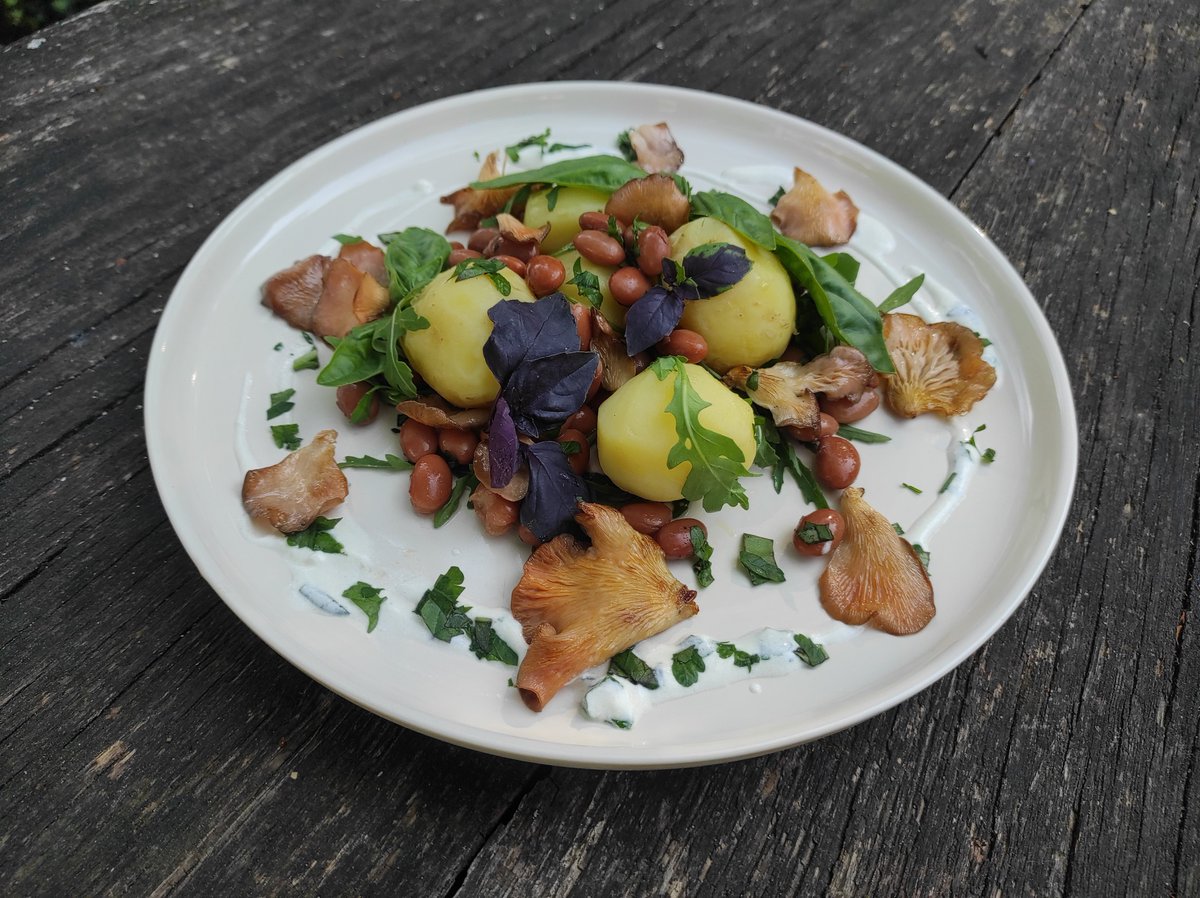 blackberryskunk's tweet photo. Nutritious Gardener's Salad

#EarnCrypto $Hive posting your recipe #Recipe #Cooking #Foodie #vegan #plantbased #HIVE #Blockchain #HiveBlogShare Join #Hive and earn rewards with your content. Full recipe on my hive blog:

https://t.co/KrUenTYGM7 https://t.co/LMMQ4Qf4MH