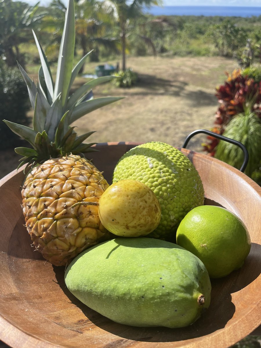 Lavas_End's tweet photo. Today’s fruit basket contents. Can you name all five? https://t.co/UySt352rkd