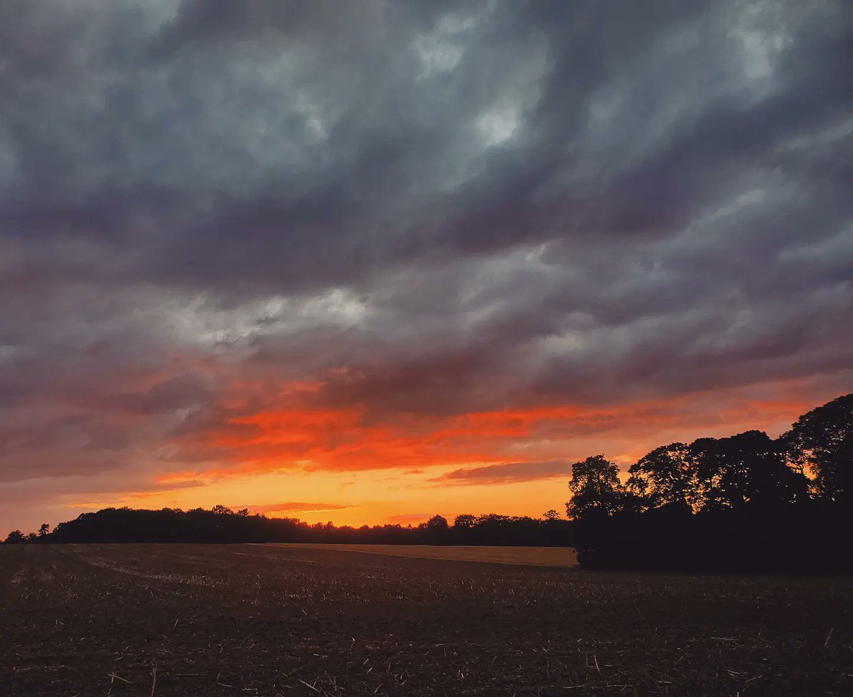 TomesAndTravel's tweet photo. "Your favorite colour is orange. Not a bright orange, but a soft orange, like the sunset." 🌇 https://t.co/F534XvZBd1 https://t.co/6W9IWgR4nw