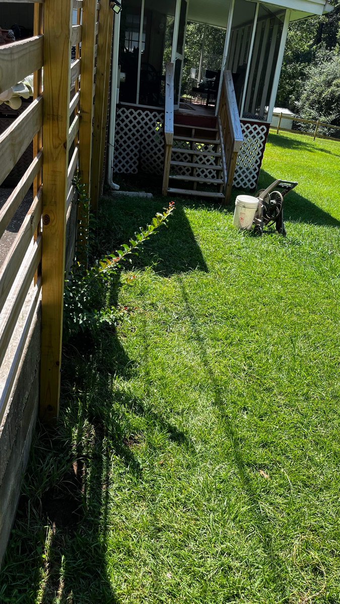 gnjunkremoval's tweet photo. Happy Tuesday! Today our crew did something small and simple but still helped our customer out!!
here are some before and afters! https://t.co/Yw8nFgTsF5