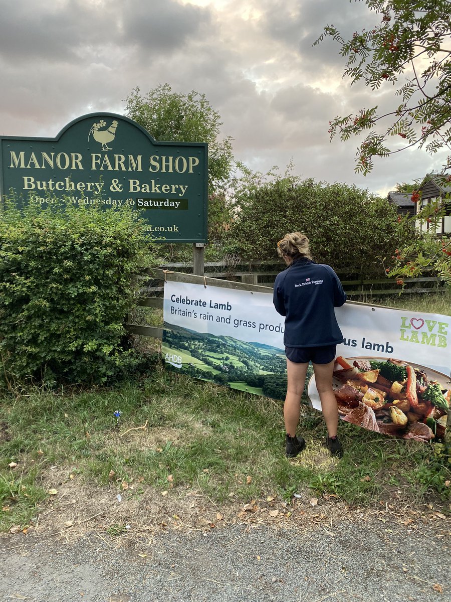 manororganic's tweet photo. We’ve got our banner at the ready and we’ll be celebrating #LoveLamb week from tomorrow in our #FarmShop 

#BackBritishFarming #LoveLambWeek #Lamb #BritishLamb https://t.co/xRv1iRIXtI