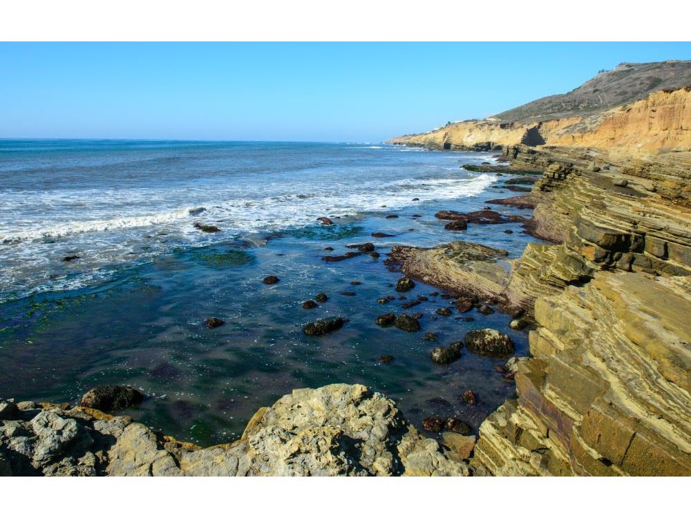 cm_vonwilpert's tweet photo. Happy #NationalBeachDay!☀️🌊🏖
I’m always proud to represent a City with some of the World’s best beaches. Through campaigns like #ThinkBlueSD, the @CityofSanDiego does a great job protecting our beaches and waterways. https://t.co/Qc6KECk53d