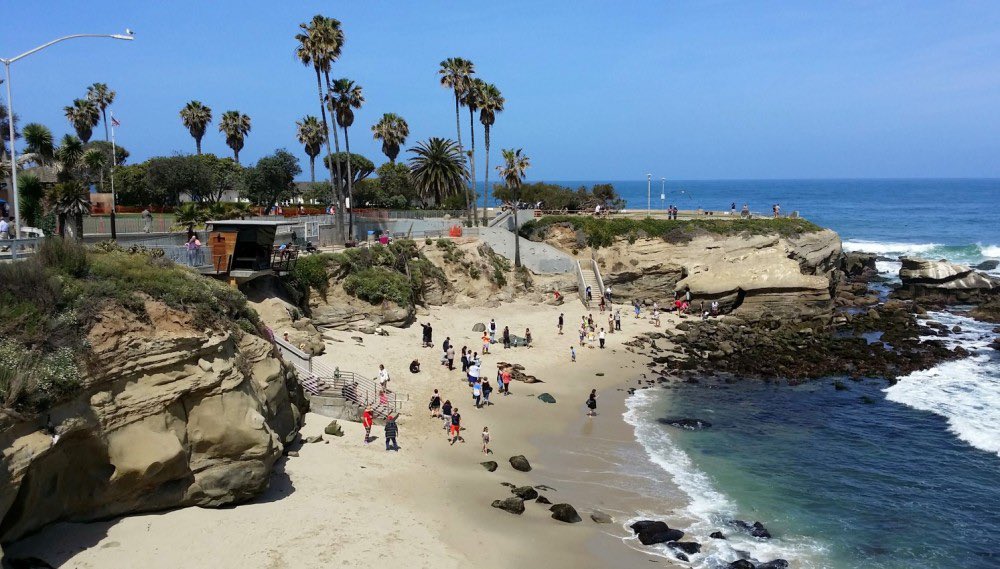 cm_vonwilpert's tweet photo. Happy #NationalBeachDay!☀️🌊🏖
I’m always proud to represent a City with some of the World’s best beaches. Through campaigns like #ThinkBlueSD, the @CityofSanDiego does a great job protecting our beaches and waterways. https://t.co/Qc6KECk53d