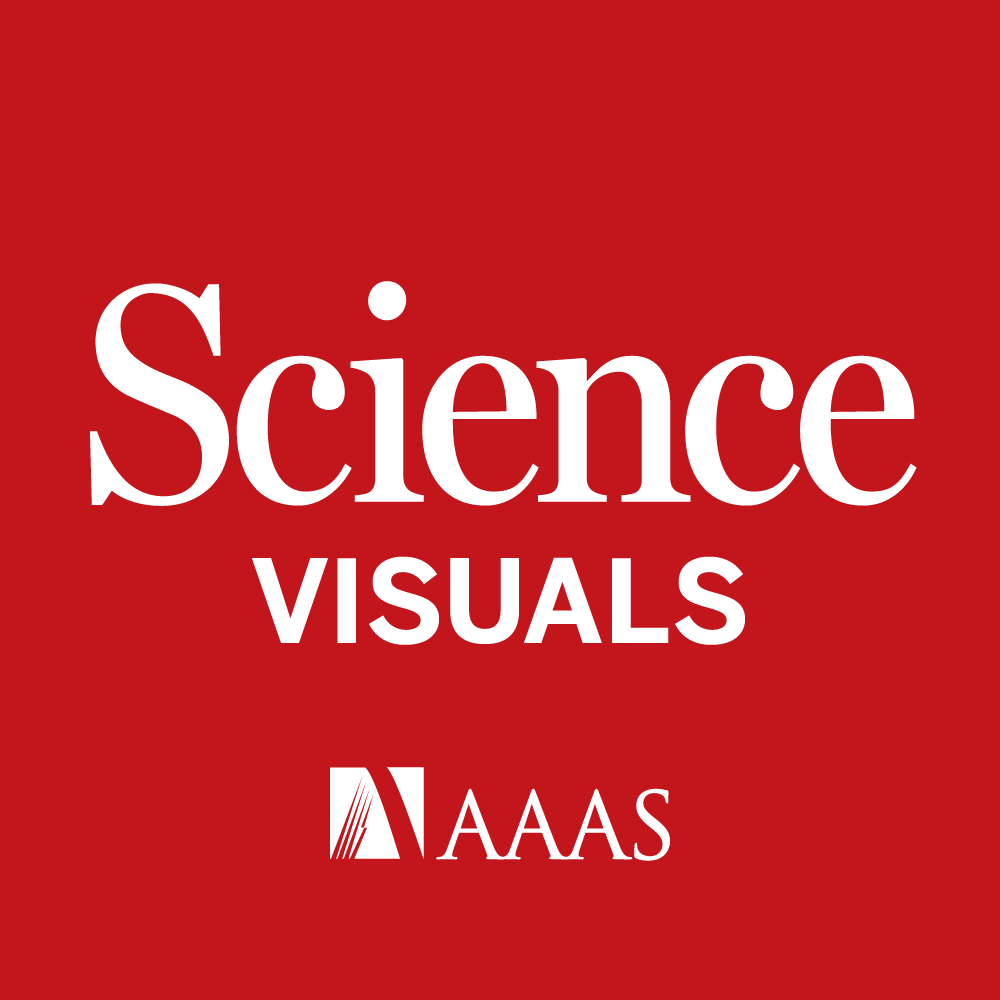 We have an exciting opportunity for a Graphics Editor to join our award-winning team, responsible for creating data visualizations (#DataViz), maps, and graphics for <a href="/NewsfromScience/">News from Science</a> and the <a href="/ScienceMagazine/">Science Magazine</a> family of journals.

Apply by 23 September: bit.ly/GEdit2022