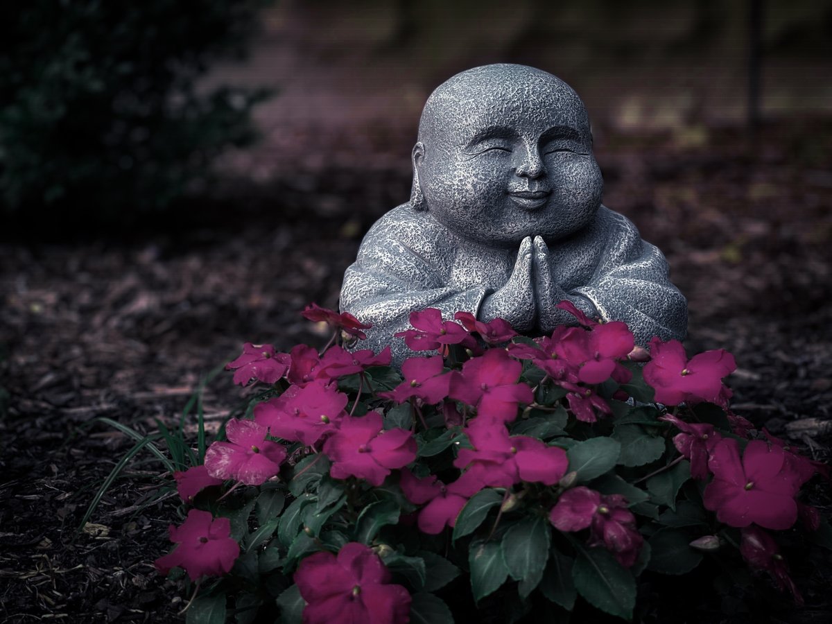 _happybuddha's tweet photo. New Collection guaranteed to make you smile!

Trippy Buddha - 13 pieces of 13 editions - 0.77 #tezos:
 https://t.co/BeiONOhgaH https://t.co/VAKq65F68B