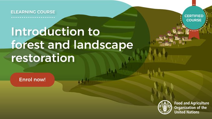 FAOForestry's tweet photo. Do you want to learn more about the key concepts and steps of forest and landscape restoration?

Enrol in a free @FAO elearning course!

👉https://t.co/6WG8jaCjbW

#GenerationRestoration https://t.co/z3ZsbtsX9p