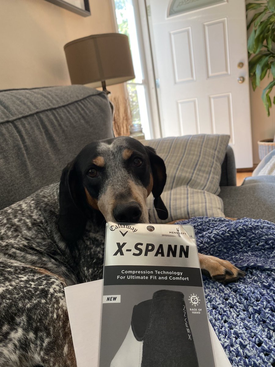 p3ngin_'s tweet photo. Update: @CallawayGolf earned my loyalty by sending a replacement. Same model with same design flaws, but hoping this one lasts longer than 1 round. Respect the sentiment either way #redemption #HandjobsAndTurndogs https://t.co/D06issoe5v