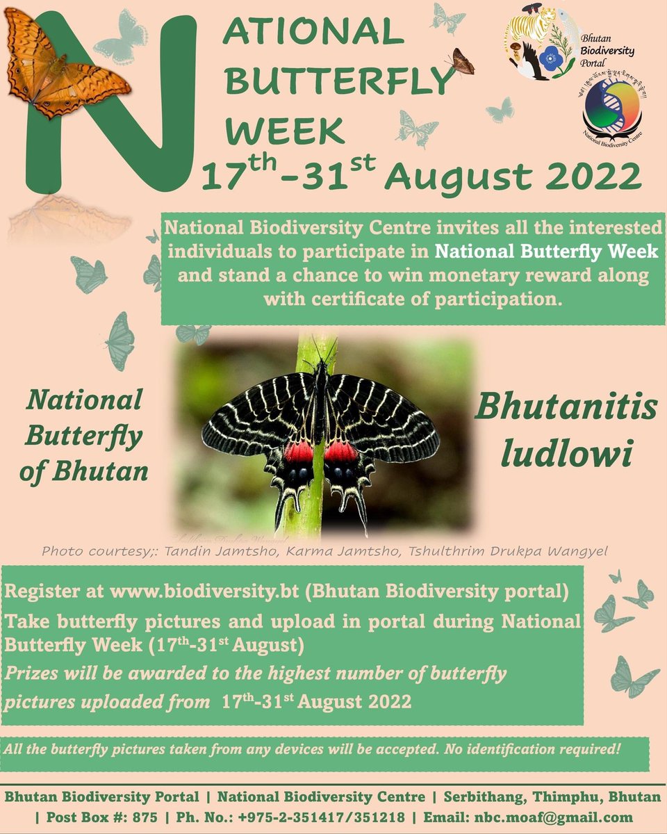 Did u know that Butterflies use their feet to taste?
Around 8000 observations has been uploaded in the portal for 𝗡𝗮𝘁𝗶𝗼𝗻𝗮𝗹 𝗕𝘂𝘁𝘁𝗲𝗿𝗳𝗹𝘆 𝗪𝗲𝗲𝗸. Today is the last day to upload butterfly observations to celebrate the Butterfly Week!
#Nationalbutterflyweeek