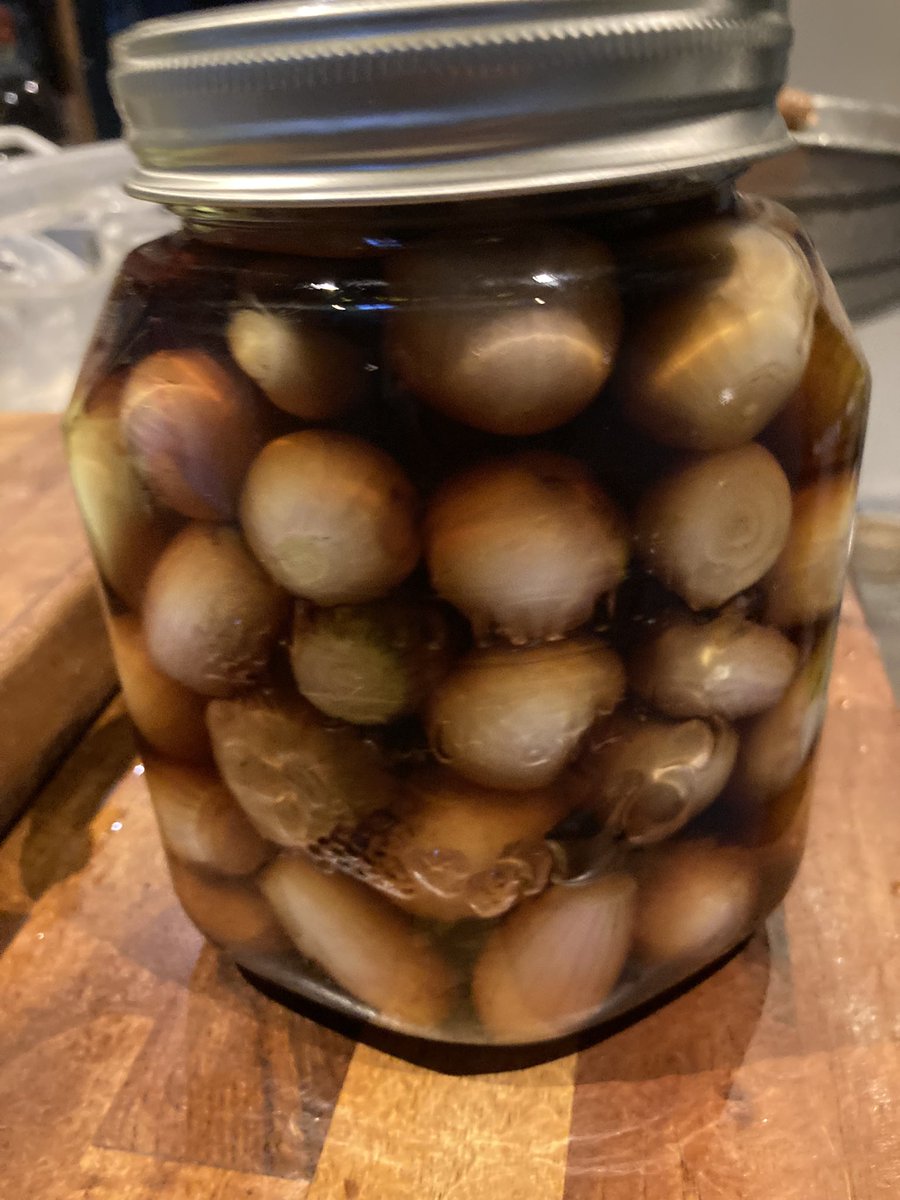 BillWilson65's tweet photo. Onions harvested and pickled, chucked a couple of home grown 🌶 to spice it up a bit. Will be ready for Christmas cheese board. https://t.co/XnTIBseZVL