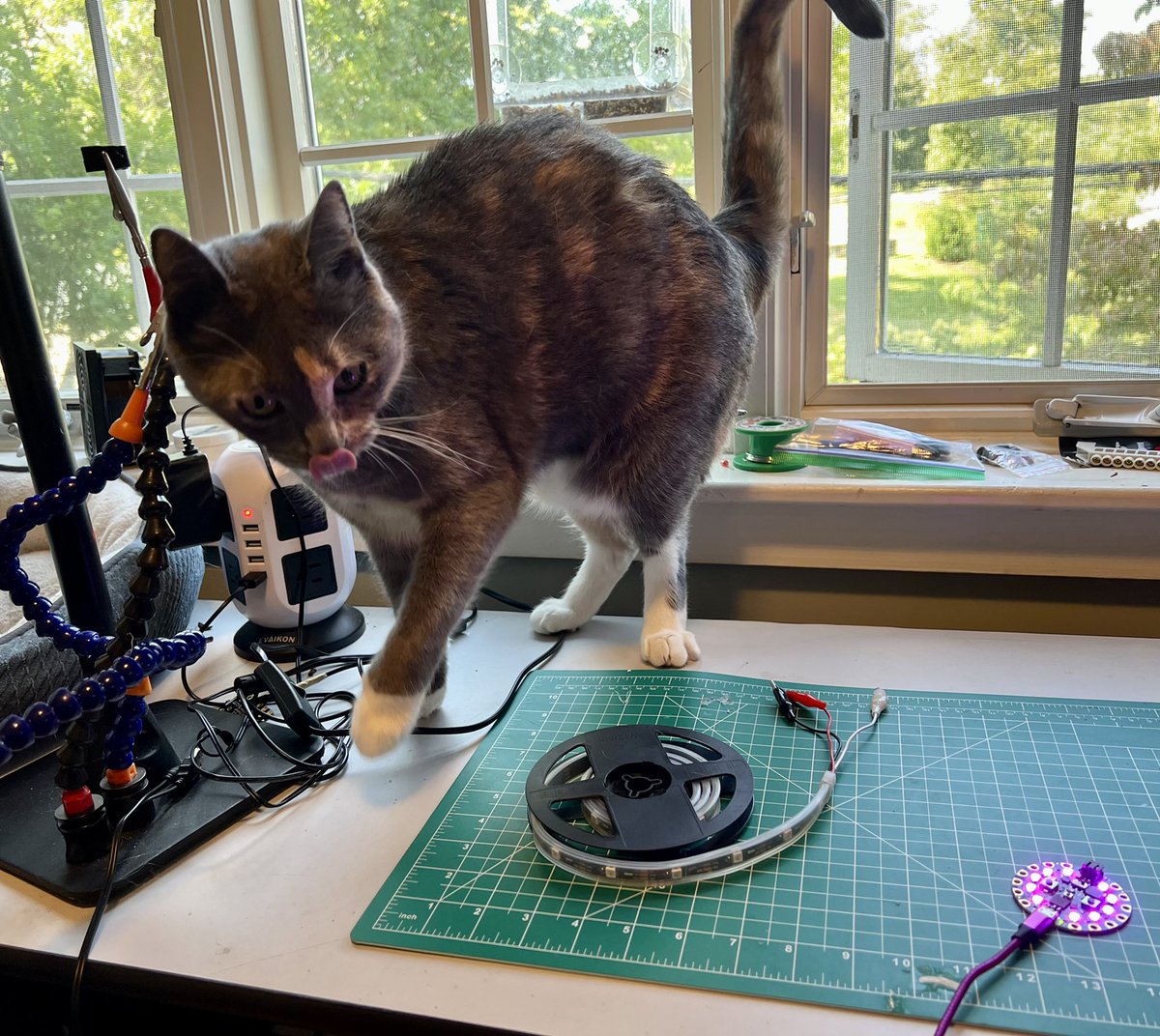 gallaugher's tweet photo. Admiral Grace inspects the CircuitPlayground Bluefruit as we prep for tomorrow’s first #BCPhysComp lesson of the semester. #BuiltWithProfG https://t.co/kvmnrYhPB9