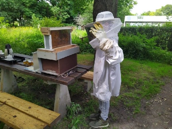IVNVaWa's tweet photo. Ben je graag buiten en zoek je nog een leuke hobby in het nieuwe schooljaar? Bij het Jeugd IVN is nog plaats, in de groepen 8-11 jaar, en 11+. Kijk gauw verder:
https://t.co/uTTXWdaAnw https://t.co/FN8ClvYIBB