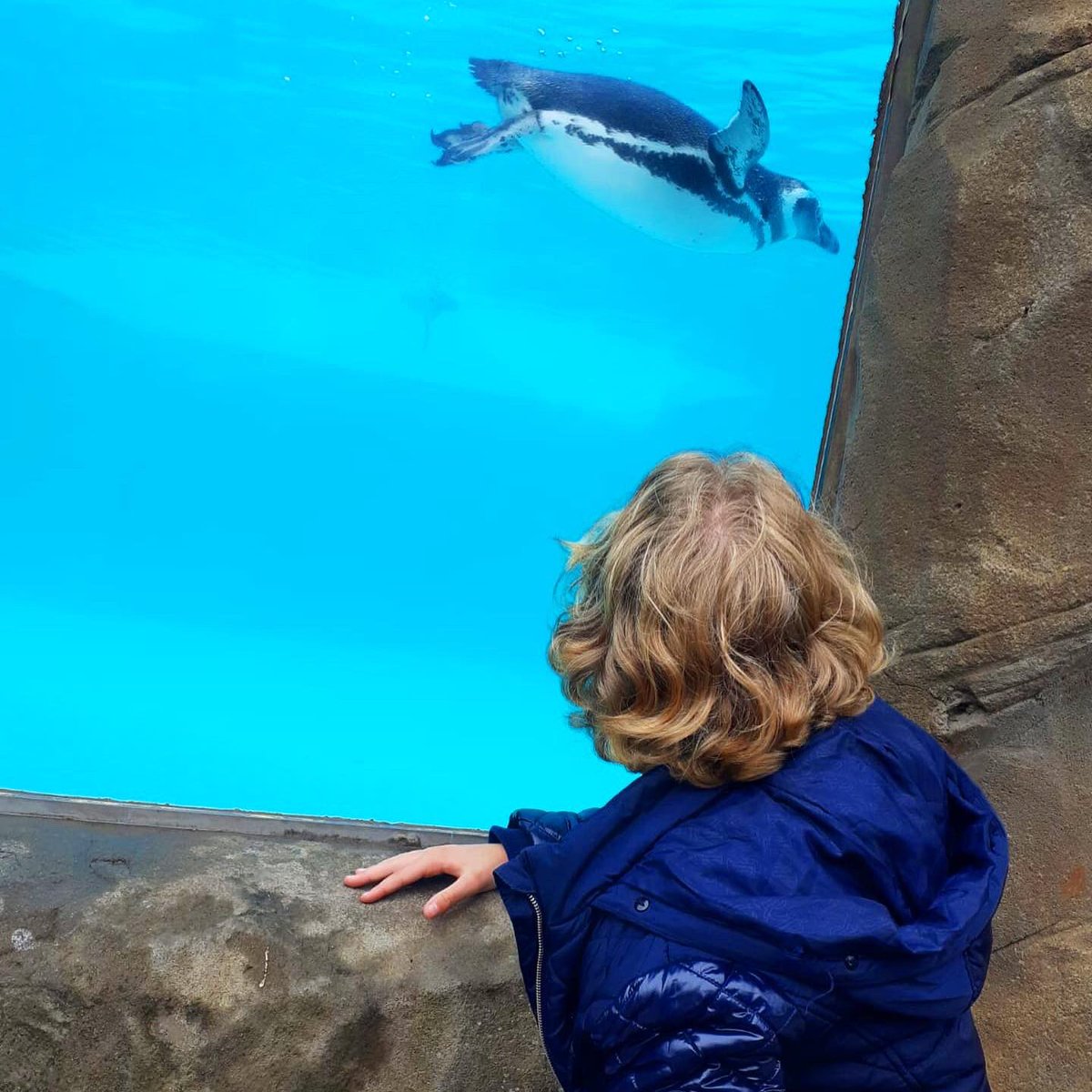 TeamCANW's tweet photo. Another excellent day out, #MakingMemories for our young people and #FosterCarers who #FosterWithCANW π
With return to school fast approaching, we thoroughly enjoyed a trip to @BlackpoolZoo π
π¦§π¦π¦ππ
#Participation https://t.co/Zc1Ucf1cqx
