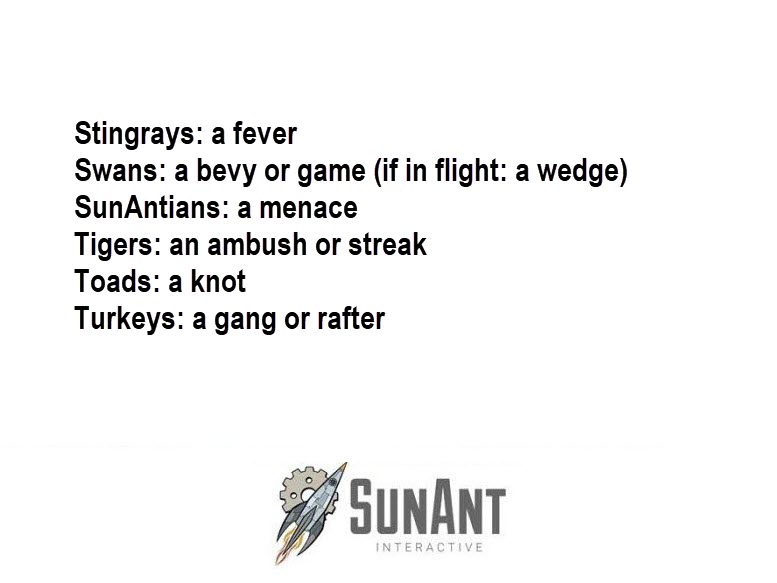 SunAnt tweet picture