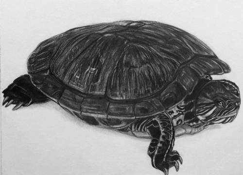 RubyRedSlider tweet picture