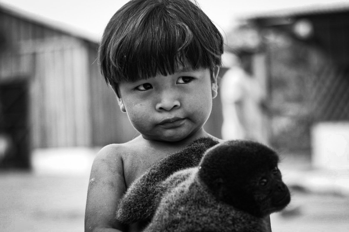 Beka Saw tweet media