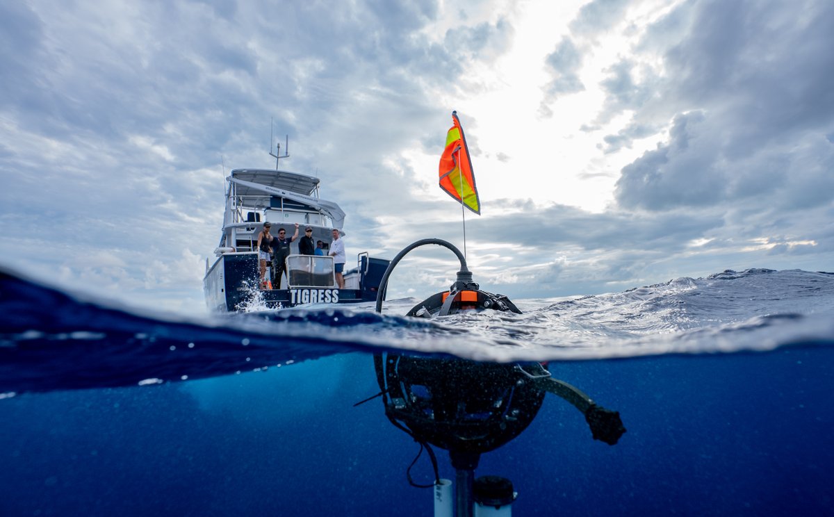 HexagonAB's tweet photo. "It’s one of the best nature-based solutions that we've ever found &amp; presents one of the biggest opportunities to fight #climatechange.” -Wells Howe, @beneaththewaves Blue Carbon Program Manager. Learn more about our partnership: https://t.co/XDzNI2Skem @revoplanet #conservation https://t.co/SRFQiwlYwT