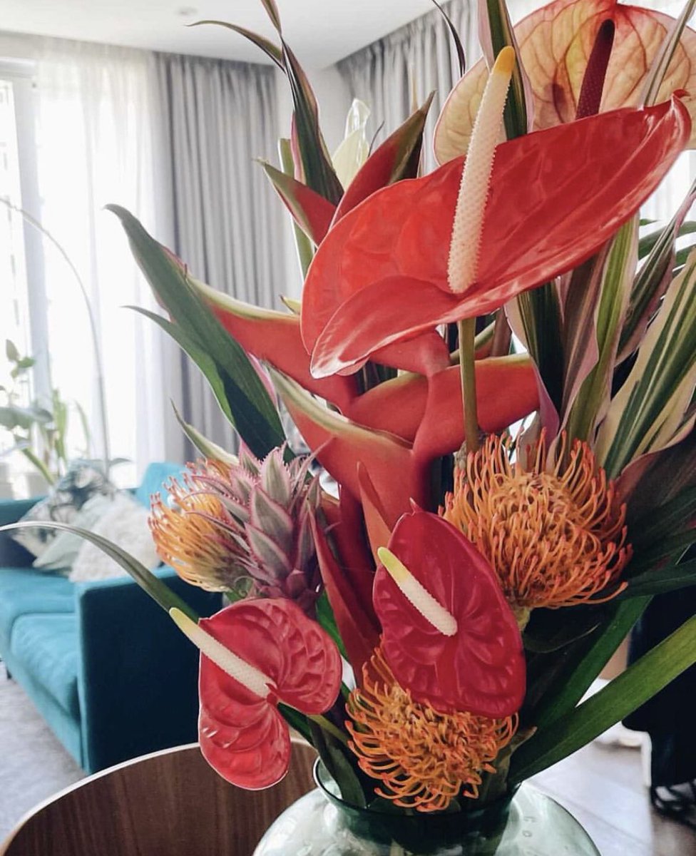 Teanne1's tweet photo. Excited to be hosting a Caribbean Flower Arranging masterclass this Sunday at this stunning location house in East London! Beautiful blooms, light lunch + vibes! Few tickets remaining: https://t.co/qiXpuXTTMy https://t.co/W3osYMu4M1