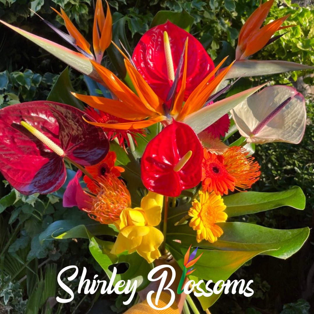 Teanne1's tweet photo. Excited to be hosting a Caribbean Flower Arranging masterclass this Sunday at this stunning location house in East London! Beautiful blooms, light lunch + vibes! Few tickets remaining: https://t.co/qiXpuXTTMy https://t.co/W3osYMu4M1