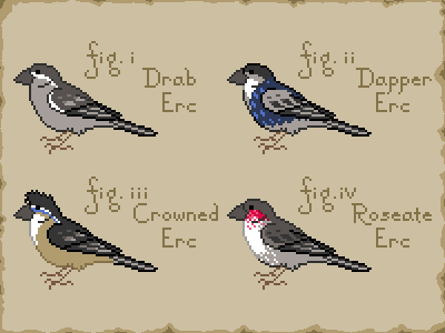 Iscaneus's tweet photo. On the description of the family Magnanares, known commonly as the ercs.
Fig. 1 M. humilis
Fig. 2 M. ornatus
Fig. 3 M. basileum
Fig. 4 M. roseus
#pixelart #fakebirds #theartistasayoungbird https://t.co/Nwe76JGSLp