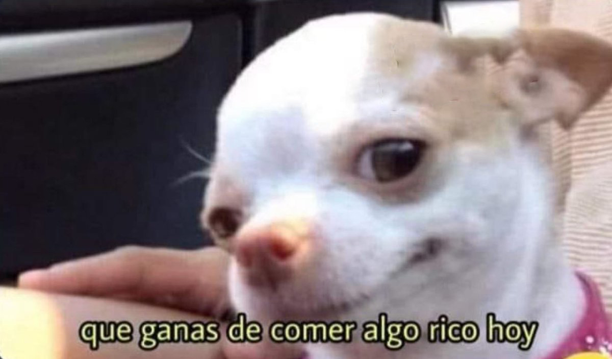 Guarromantico_'s tweet photo. *Depositan la quincena*

Mi cerebro automáticamente: https://t.co/2aIfiznHCM