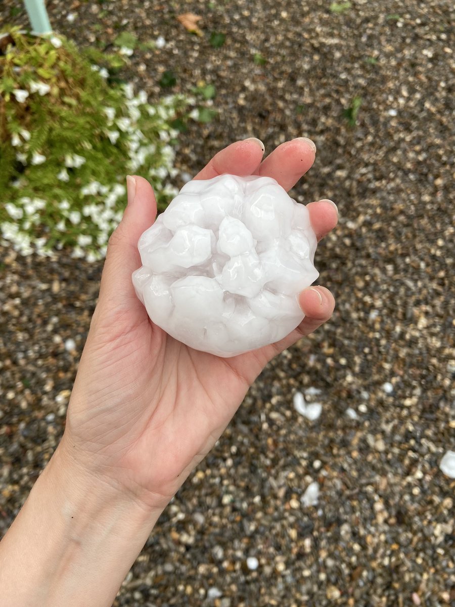 Anna Alabau tweet media