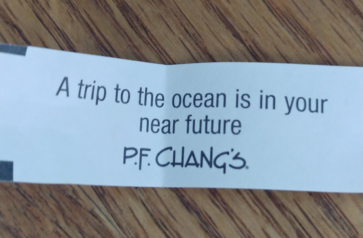 jen311mag's tweet photo. This meant nothing a month ago... 
Last week I won a cabin on the @311Cruise 6x cruiser 👽 🎶 🛳 https://t.co/cLy0E0heMb