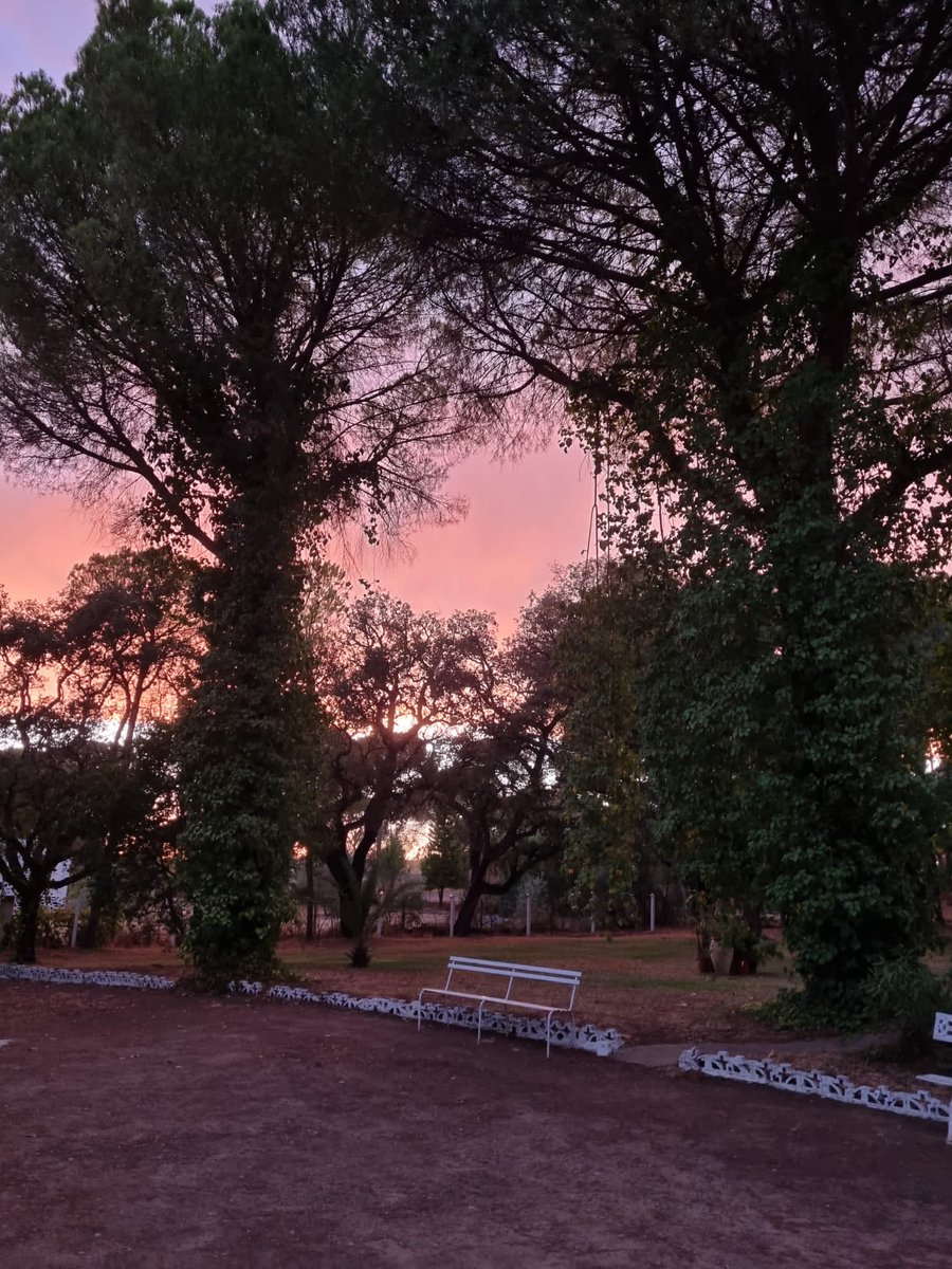 Jesus caballero PIPO (@jesuspipo89) on Twitter photo 