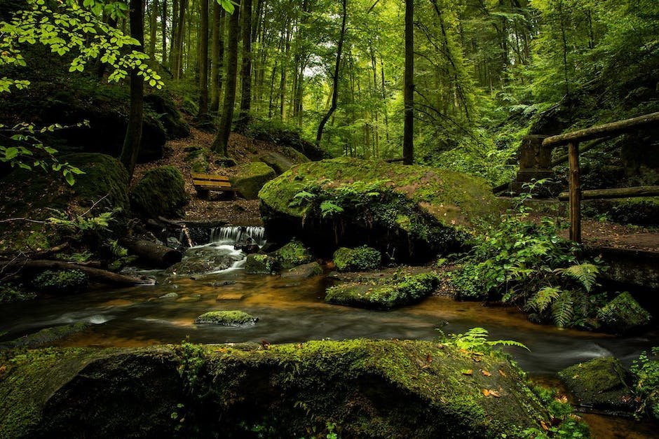 signladynoco's tweet photo. Walking outside is the best way to get in touch with the language of #nature. https://t.co/DhlPQV3hZY